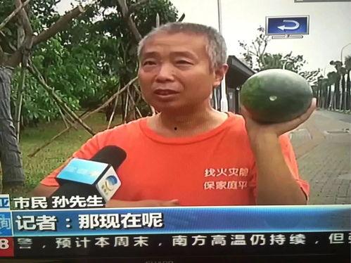 宜沟吃瓜群众事件,揭秘网络围观背后的真相