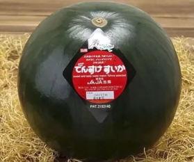 专业吃瓜群众ooo,揭秘娱乐圈幕后真相