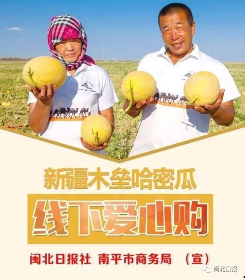 吃瓜群众爱心巧克力,吃瓜群众的甜蜜惊喜