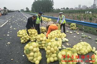 百色吃瓜群众,揭秘当地独特饮食文化