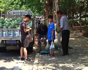 百色吃瓜群众,揭秘当地独特饮食文化