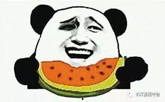 魔仙堡吃瓜群众是谁,揭秘“吃瓜群众”背后的神秘身份