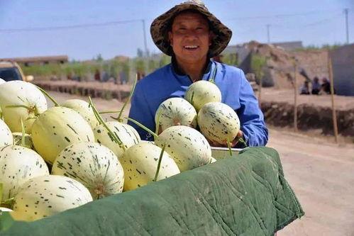 意外当了吃瓜群众,一场突如其来的吃瓜之旅