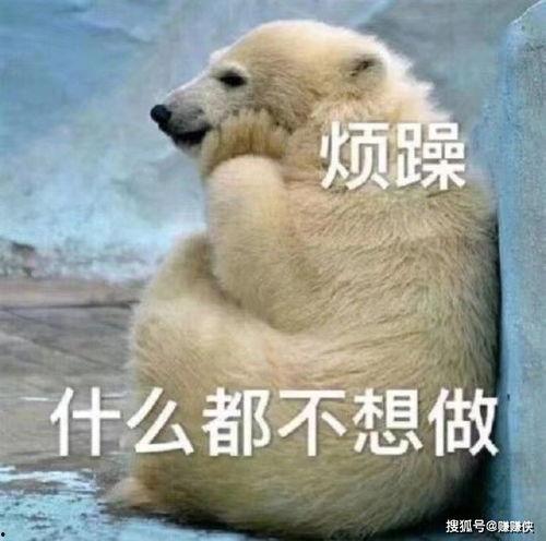 吃瓜群众鬼畜图片大全,吃瓜群众趣味图片大盘点