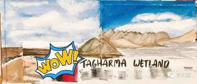 吃瓜群众旅拍,记录旅途中的点滴美好