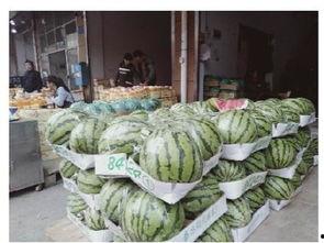 张湾区吃瓜群众水果店,品味新鲜,共享瓜果时光