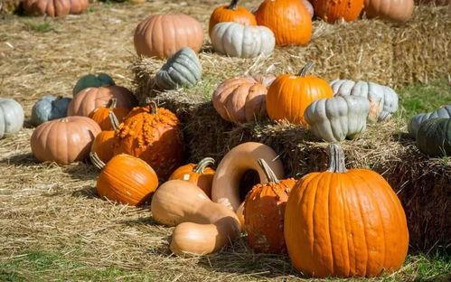 一位围观的吃瓜群众