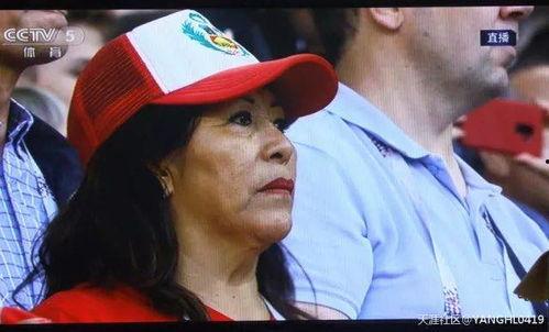 吃瓜群众王予怀是谁,网络红人的崛起之路