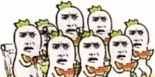 群众吃瓜的标语,乐享生活——趣味标语背后的社会现象解读