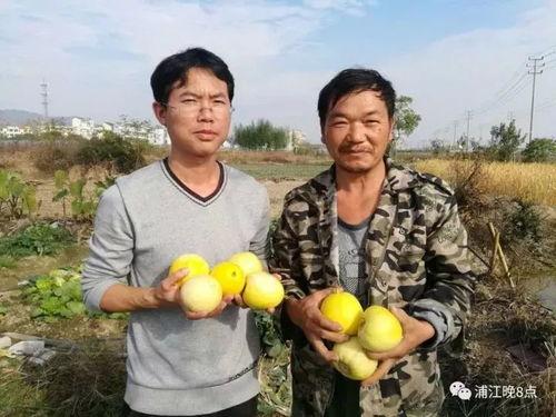 唐山吃瓜群众,揭秘街头巷尾的热辣话题