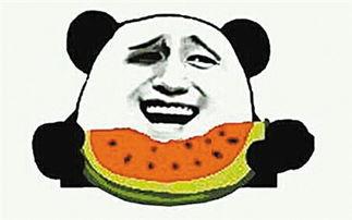 史上最优雅的吃瓜群众,揭秘娱乐圈幕后风云