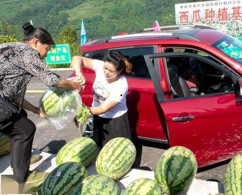 看倪海杉回放吃瓜群众,吃瓜群众热议的幕后真相