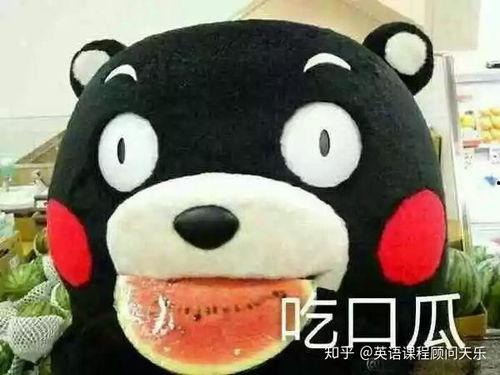 高调的人吃瓜群众怎么形容,揭秘娱乐圈的喧嚣与狂欢